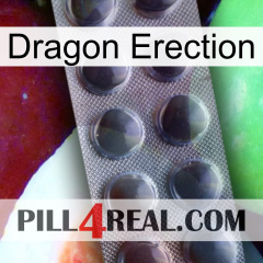 Dragon Erection 30